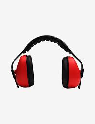 Hearing Safeguarding